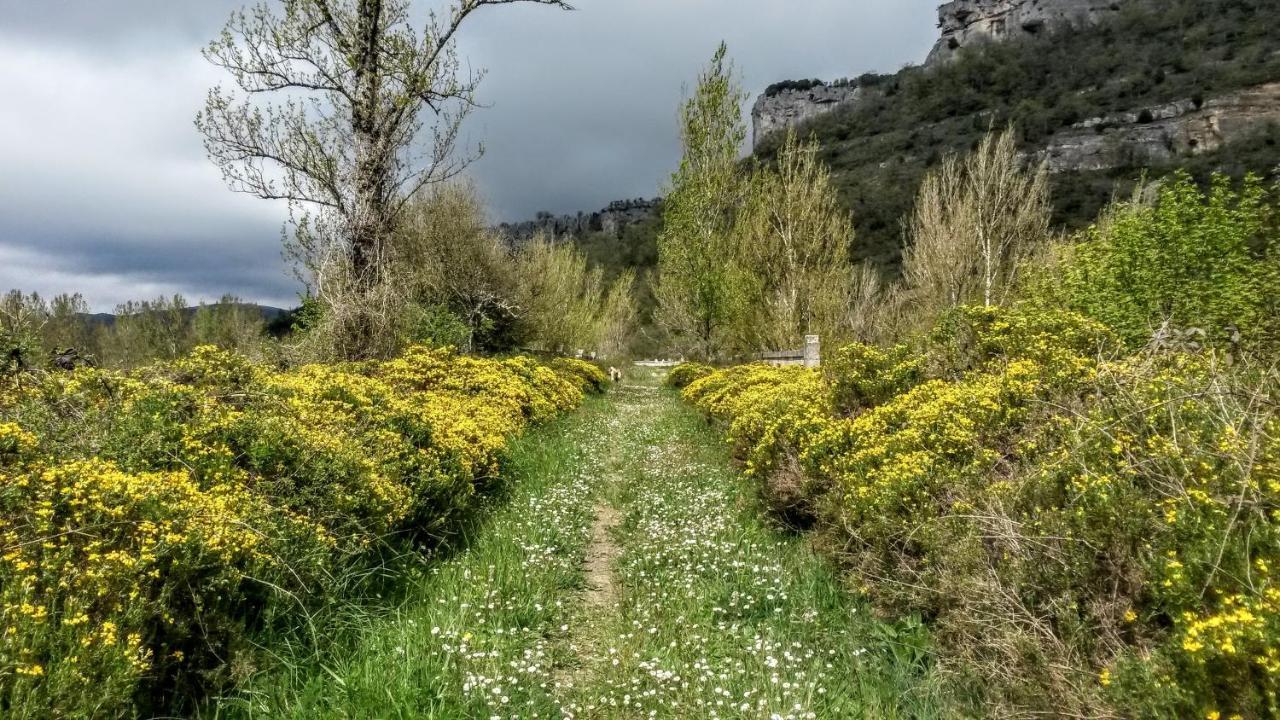 La Casita / Casa De Campo Santa Gadea  Dış mekan fotoğraf