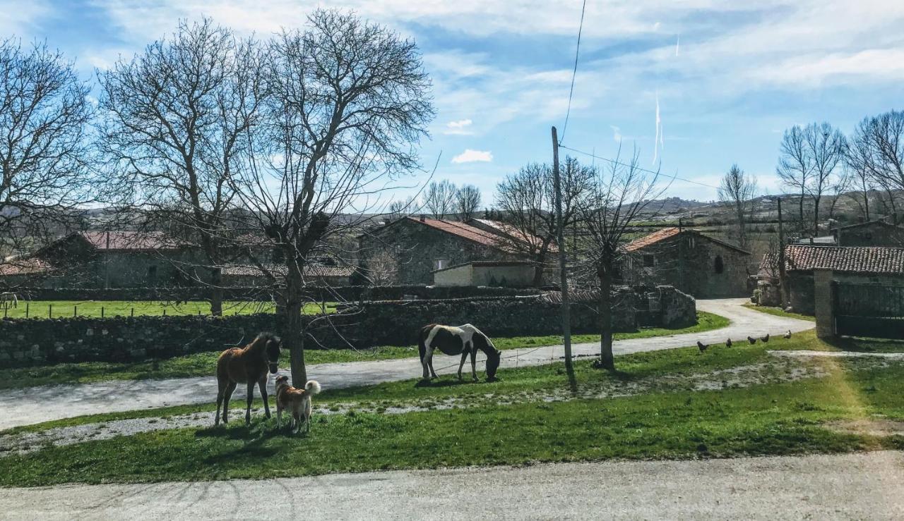 La Casita / Casa De Campo Santa Gadea  Dış mekan fotoğraf