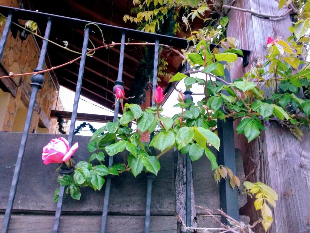 La Casita / Casa De Campo Santa Gadea  Dış mekan fotoğraf