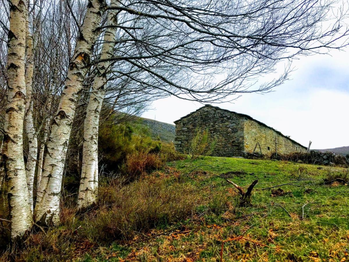 La Casita / Casa De Campo Santa Gadea  Dış mekan fotoğraf